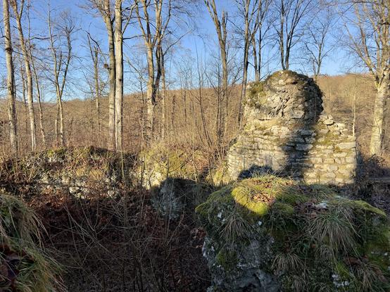 Ruinenen im Wald