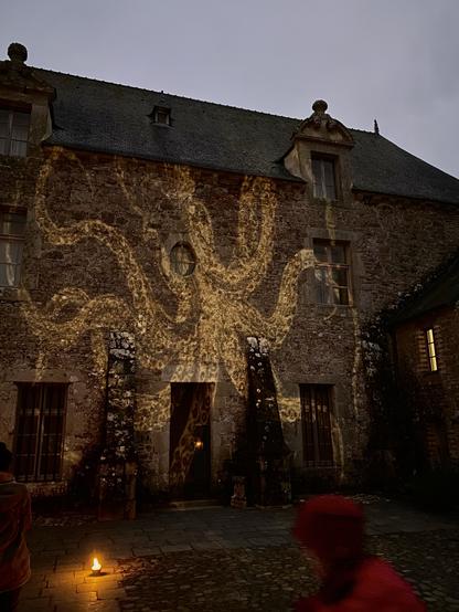Zoom on the squid on the wall of the main building of the Beauport Abbey (Paimpol, Côtes d’Armor, Brittany)