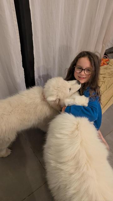 Bibousam et tête de grand Sam dans les bras d’une petite fille agenouillée au sol.