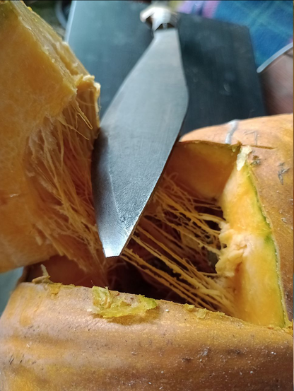 Ihm ist schwer beizukommen. Der Kürbis hat anders als der Hokkaido eine harte und unbrauchbare Schale. Am besten gehts wohl mit der Axt. Ich habs auch mit der Machete probiert, aber die war nicht grade extra geschärft, so dass ich am Ende dann doch wieder nur das bewährte Küchenmesser mit Säge nahm. Hier im Bild dann doch noch mit Machete, weils so hübsch aussieht. Das Haumesser hat eine lang gezogene Spitze, die sich erst kräftig weitet, dann aber zum Griff hin wieder schmal zuläuft. Im Regenwald hatte sie mir einst gute Dienste geleistet. Hier hab ich anfangs die Brombeerhecke zurück gehauen, jetzt ist sie Teil des Wohnungsmuseums.  Ein großes Kürbisstück ist schon herausgelöst, aber es ist noch fest mit dem Innern über zähe Fäden verbunden. Die Kürbiskerne sind nicht zu sehen, sondern tief im Innern verborgen.