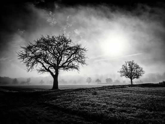 olympus omd - lightroom - silver efex pro - lightroom