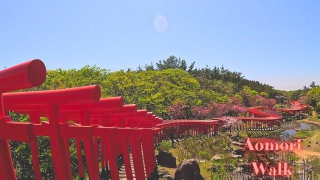 Japan walking tour. spring. 2024