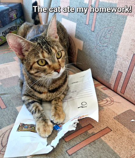 A cat jealously guarding a piece of paper containing homework.