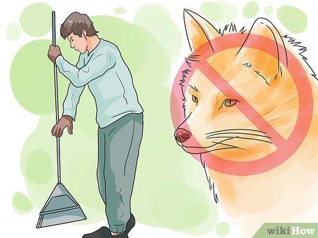 WikiHow image of a man brushing/raking and a fox with a cross through it