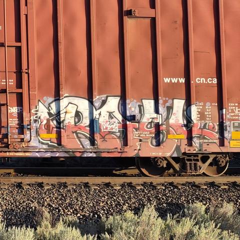 Train car with graffiti rolling through Kamloops BC Canada