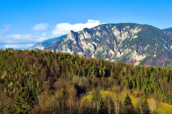 Alpine Landscape near Payerbach, Lower Austria