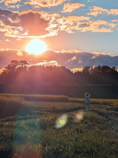 Pompöser Sonnenuntergang. Eine Wiese darauf ein Kind das in die Sonne schaut.