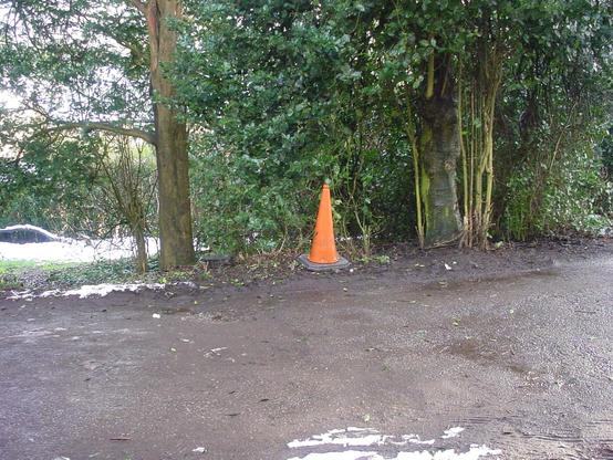 A wild cone taken with a shitty camera