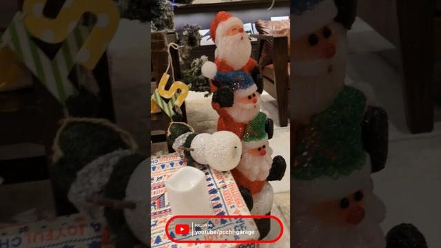 スムースコートチワワ 三太くんとクリスマス #Shorts #dog