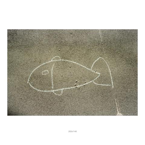2024/148: Ein Kreidefisch am Boden eines Fußwegs in Neuleopoldau, Floridsdorf bei Wien.