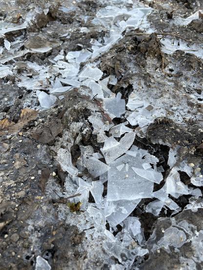 Traktorspuren in einem unbefestigten Weg, die in der Kälte erstarrt sind. Wasser hat sich in ihnen gesammelt und ist zu Eis gefroren. Das Eis ist in feine Splitter zersprungen, weil jemand darauf getreten ist.