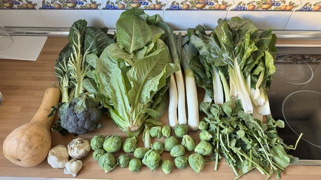 Contenido de la cesta de la semana sobre una encimera de cocina.
En la parte inferior de derecha a izquierda hay una calabaza, ajos, coles de bruselas y rúcula.
Encima, hojas de berza asa de cántaro, brócoli, lechuga, puerros y acelgas.