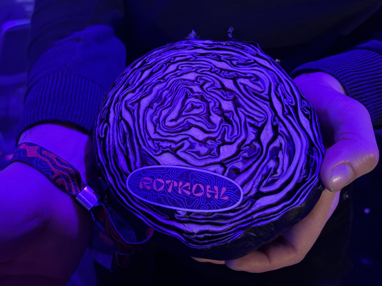 38c3 logo looks like cabbage