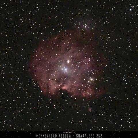 Monkey Head Nebula