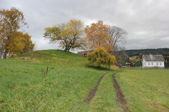 photo - Karnilshaugen is around seven meters high, but was probably up to ten meters when it was built