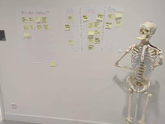 Ein anatomisches Skelett steht neben einem Kanbanboard aus Haftnotizen an der Wand und trägt die Beschriftung "Scrum Master" auf der Stirn.