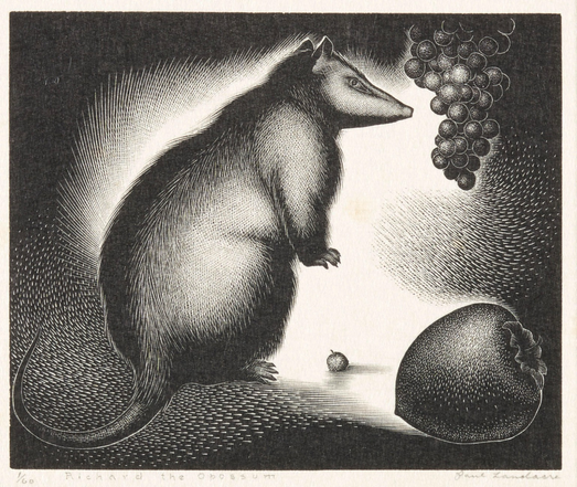 black and white woodcut print of an opossum standing up next to a bunch of grapes, with one fallen at its feet; closeup of an additional unidentified fruit in lower right corner that opossum appears to be side eyeing