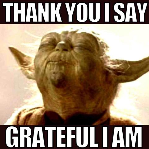 Picture of Yoda (Star Wars character) looking up with his eyes closed.

Text says: Thank you I say
Grateful I am