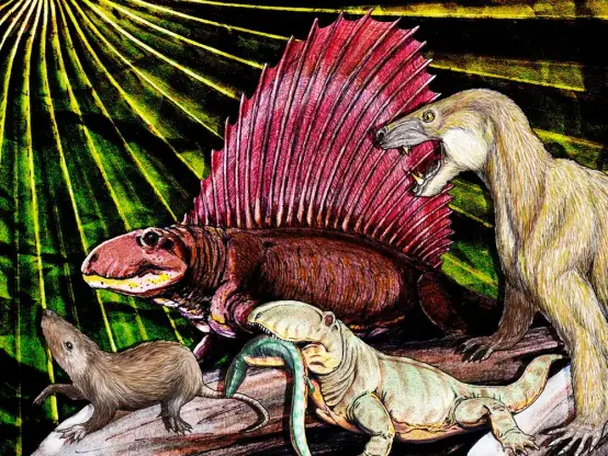 collage of drawings of various prehistoric animals