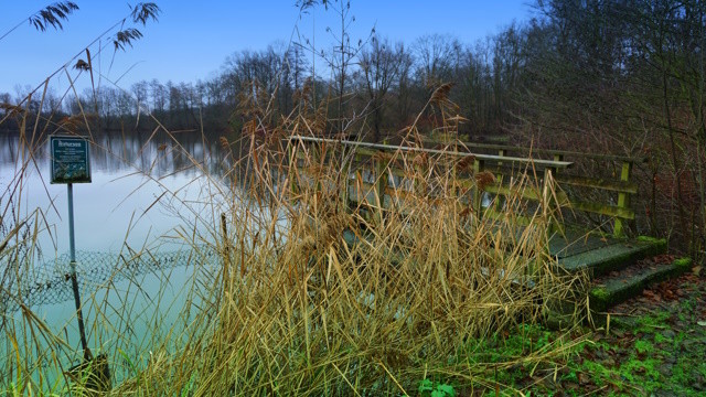 Steg in einen See hinein. Im Vordergrund Gras.