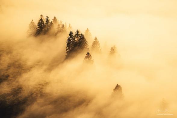 Abermals bin ich dem Hochnebel entkommen und habe über den Wolken einen wundervollen Sonnenaufgang erlebt. 

Kommt die Sonne nicht zu mir, komme ich eben zu ihr ;)