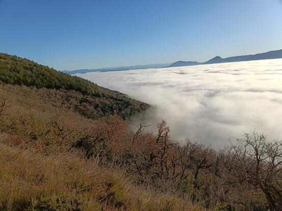 Nubes bajas de niebla
