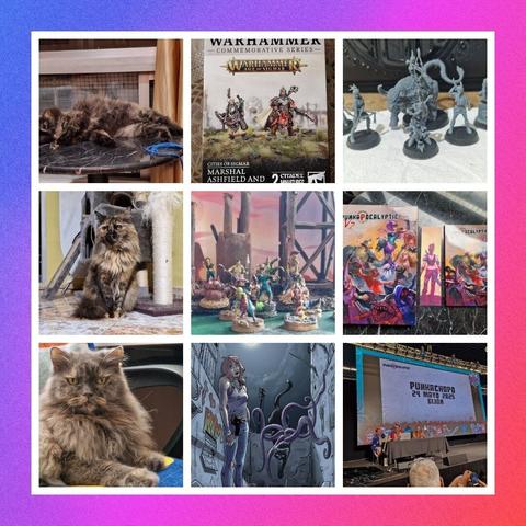 Un mosaico de 9 fotos, 3 fotos por fila. 
Por orden, de izquierda a derecha y de arriba a abajo, las fotos contienen lo siguiente: 
- una gata carey de pelo semilargo tumbada en una mesa de mármol
- caja de dos miniaturas de ciudades de Sigmar conmemorativas de 2024 de Warhammer TV
- Miniaturas del Starter Set de Unami para Punkapocalyptic.
- Gata de tipo carey aunque tirando más a marrón que negro y pelo semi largo, sentada con sus patitas cubiertas por su peluda cola.
- Miniaturas de mutardos elegidas para el torneo del Punkachopo 2024
- Manuales deluxe y batalla de Punkapocalyptic. Entre ellos hay un marcapáginas.
- Gata persa gris de pelo largo tumbada con la cabeza levantada en una silla de escritorio
- Ilustración de una joven mutante acompañada de un gato del que salen tentáculos de sus espaldas. 
- Foto de una presentación en la que se puede leer que el Punkachopo 2025 será el 24 de mayo.