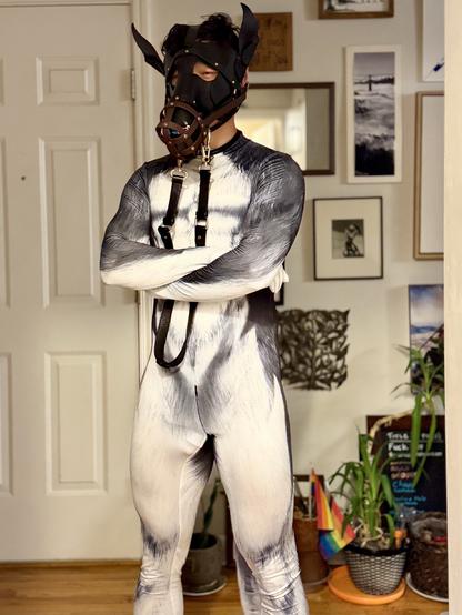 A smiling ponyhound in white/grey pet suit crosses his arms. He wears a black leather horse mask and a brown muzzle made in biothane