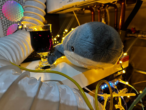 sysadmin haj with a gluhwein glass in christmas lights on server rack