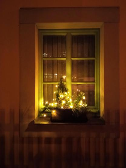 Foto bei Nacht. Ein grün gestrichenes Fenster in einer warm gelben Hauswand, auf dem Fensterbrett steht ein Blumenkasten mit Tannenzweigen und einer warm leuchtenden Lichterkette. Auf die Wand unter dem Fenster fällt der Schatten eines Lattenzauns.