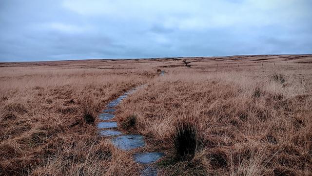 Wet flagstones, Pennine Way,  Marsden Moor.