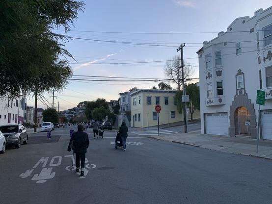 People walking in the middle of a street, one with a cane, one with a dog on a leash, one pushing a stroller