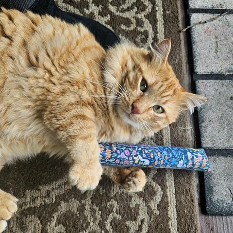 Obi, an orange tabby with yellow eyes, lies on his left side on a doormat, cuddling a long fabric cylinder filled with catnip. He looks up at the camera.