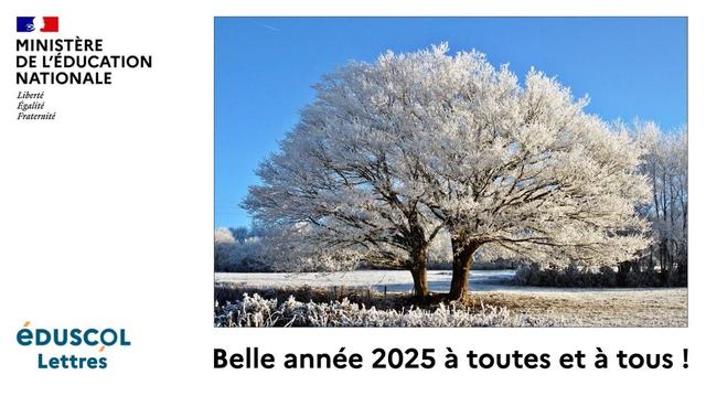 Photographie CC BY-NC-ND 2.0 Thierry Warichet -Dans une prairie, un arbre au double tronc étend son feuillage couvert de givre.