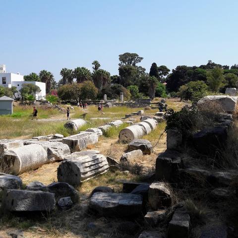 Photo shows segments of ancient stone pillars lying on the ground in bright sunlight, with trees and sky in the background.