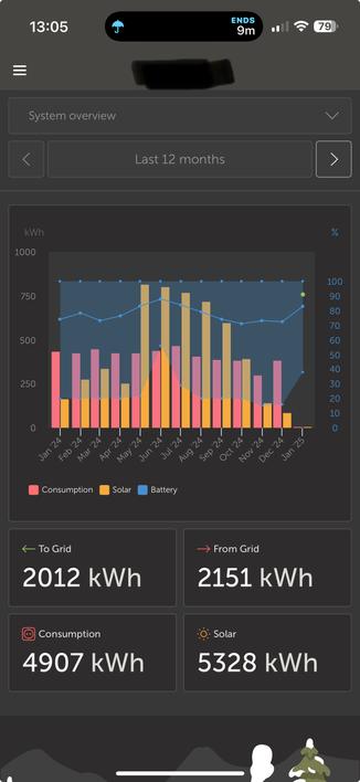 Graph from Victron VRM showing power consumption and production for the last year.