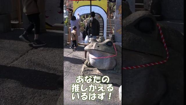 【かえる寺🐸】初詣は、福岡県小郡市の「如意輪寺」で笑顔になる♪巳年だけど(笑) ティザー映像 #shorts