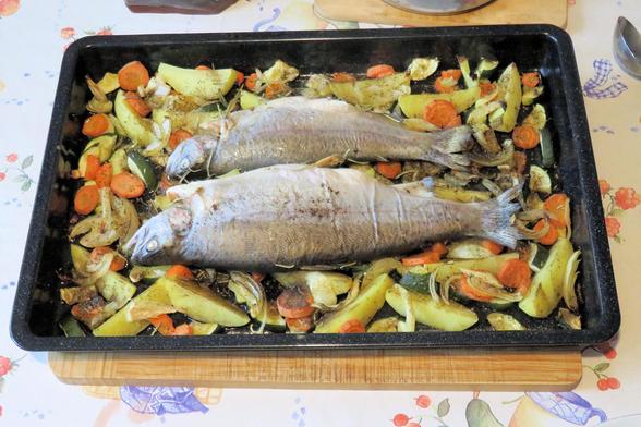 GPT Icon  Ein schwarzes Backblech mit zwei ganzen gebackenen Fischen, umgeben von geröstetem Gemüse. Das Gemüse besteht aus Kartoffelspalten, Karottenscheiben, Zucchinistücken und Zwiebeln, alles goldbraun gebacken und mit Kräutern wie Rosmarin bestreut. Die Fische haben eine leicht gebräunte Haut und sind ebenfalls mit Kräutern gewürzt. Das Blech steht auf einem Holzbrett, der Untergrund ist ein bunt bedrucktes Tischtuch.
