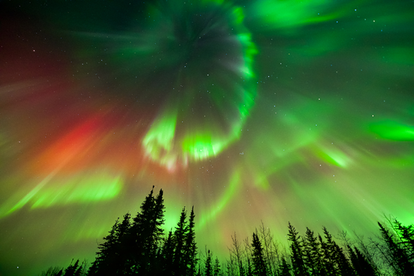 Bright red and green lights over trees in Fairbanks, AK.