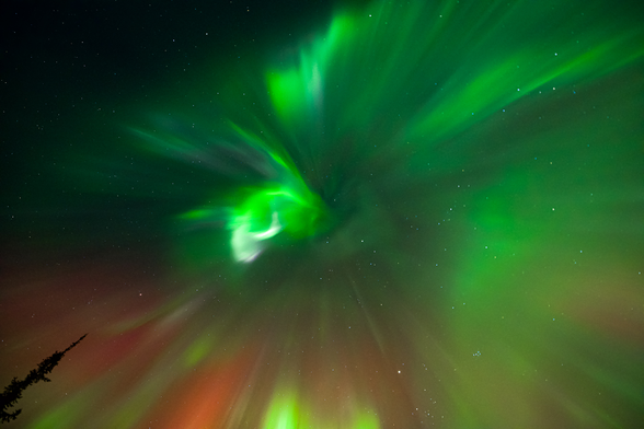 Some red and lots of green lights over trees in Fairbanks, AK.