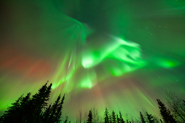 Some red and lots of green swirling lights above trees.