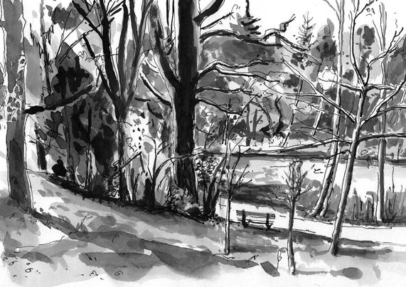 Forest, bench and lake