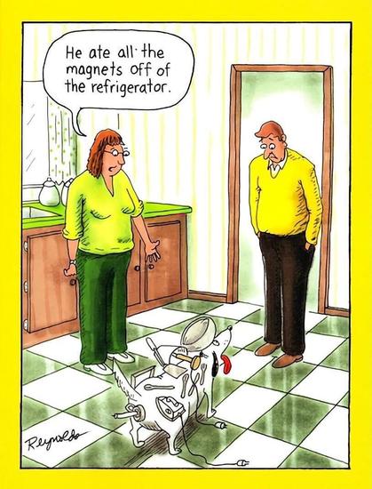 He Ate All The Magnets Off Of The Refrigerator