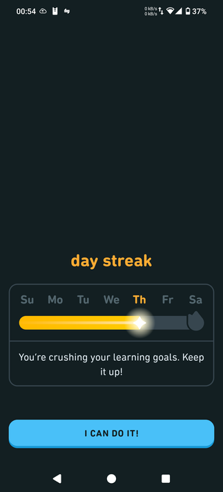 the daily streak screen on duolingo, but the number that shows how long your streak is is missing, so it only says "day streak"