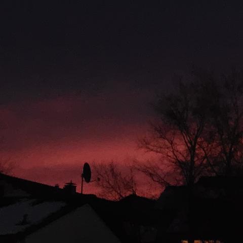 Dunkle Umgebung Bäume Dächer. Darüber roter Sonnenaufgang