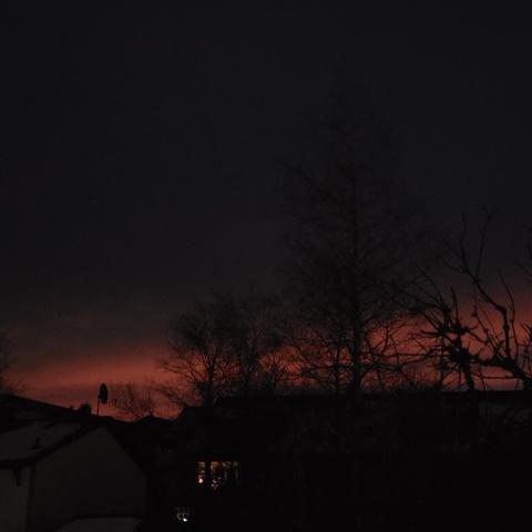 Hinter den Bäumen roter Sonnenaufgang