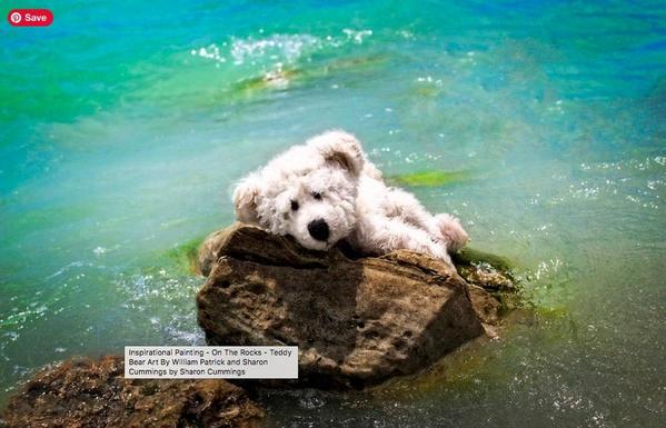 A cure white teddy bear on a rock at the beach by artist and poet Sharon Cummings and her husband William.  Haiku in post.