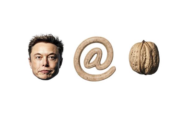 Musk @ Nut