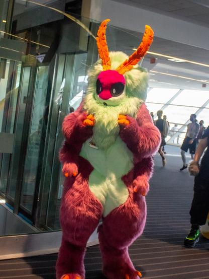 A frontal shot showing the full body