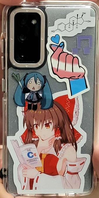 The back of Mini's phone case with the following stickers from top to bottom: The Estriol (Estrogen) structural formula, a hand making a finger heart hand gesture in trans flag colors, an 8 bit beam connected Eighth note (quavers) in purple, a chibi style  
Hatsune Miku holding a leek, and Reimu from Touhou learning C Programming.